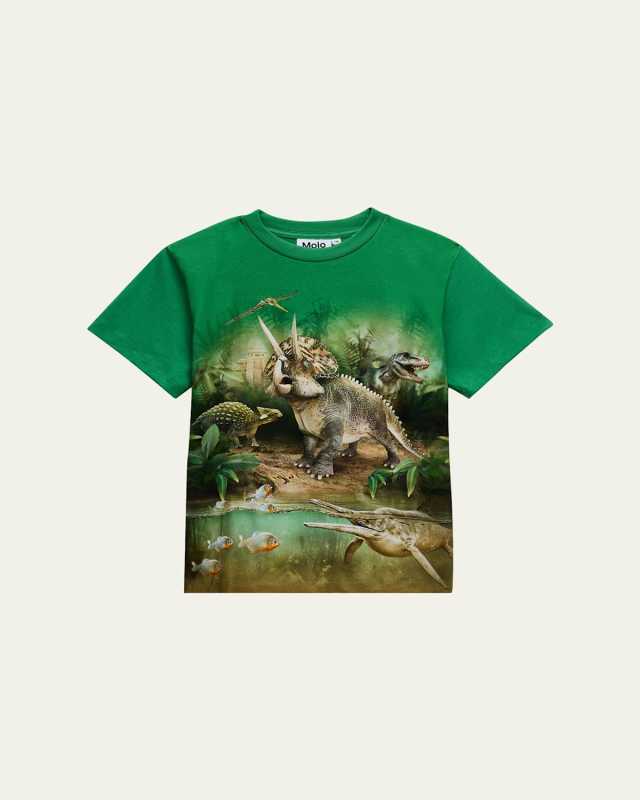 Boy's Riley Dinosaur Graphic T-Shirt, Size 8-14